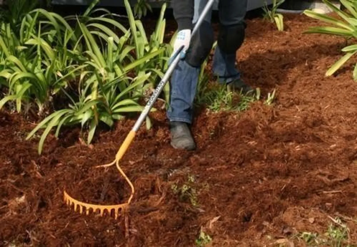 Mini chip Bark mulch - Image 4