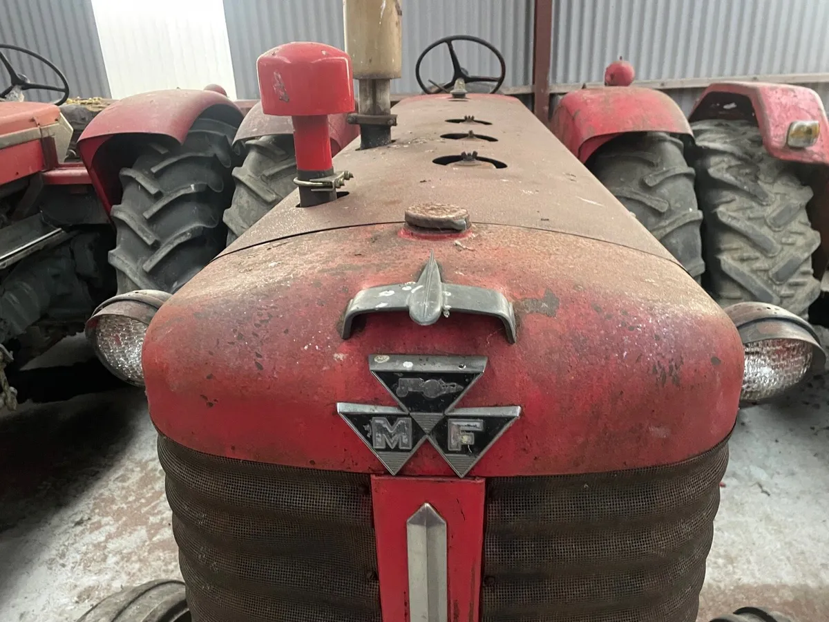 Massey Ferguson super 95 - Image 2