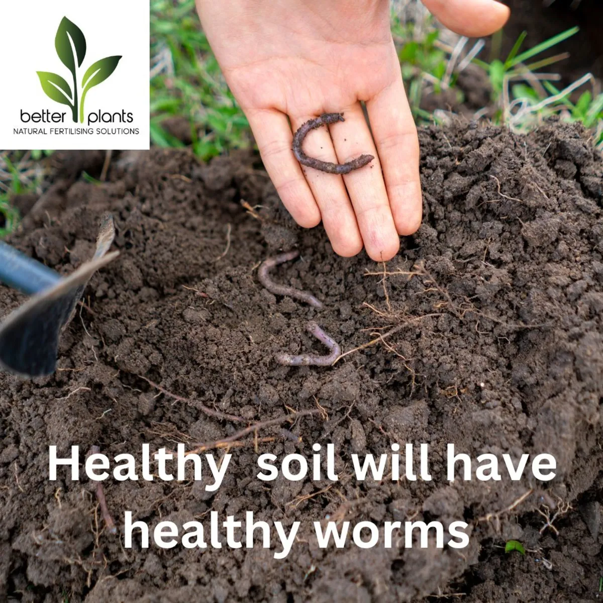 Improve soil fertility, structure & worms