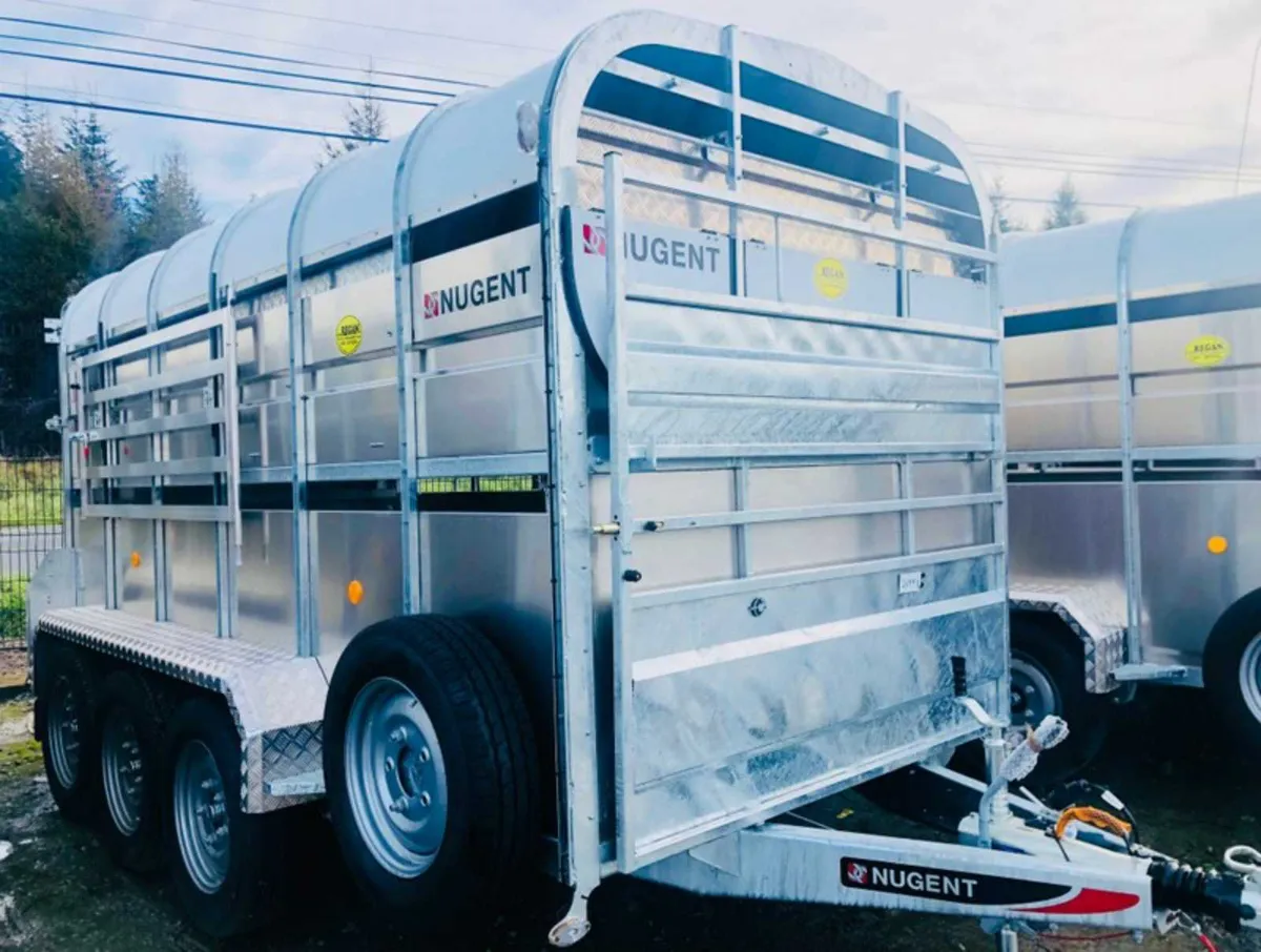 Nugent 14x6 Livestock - Tri Axle - Decks - Image 1