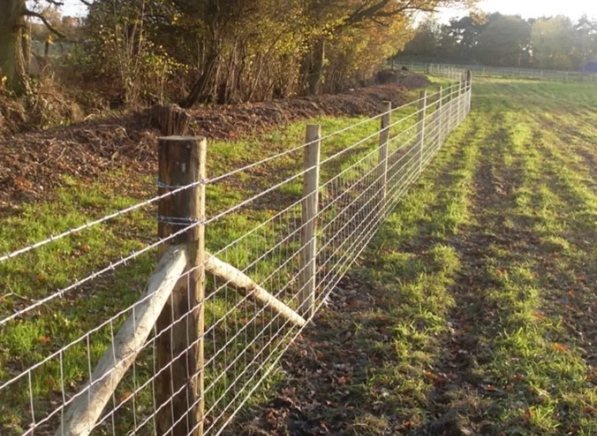 ‼️ SALE‼️Fencing  & Fencing solutions.. Samson - Image 4