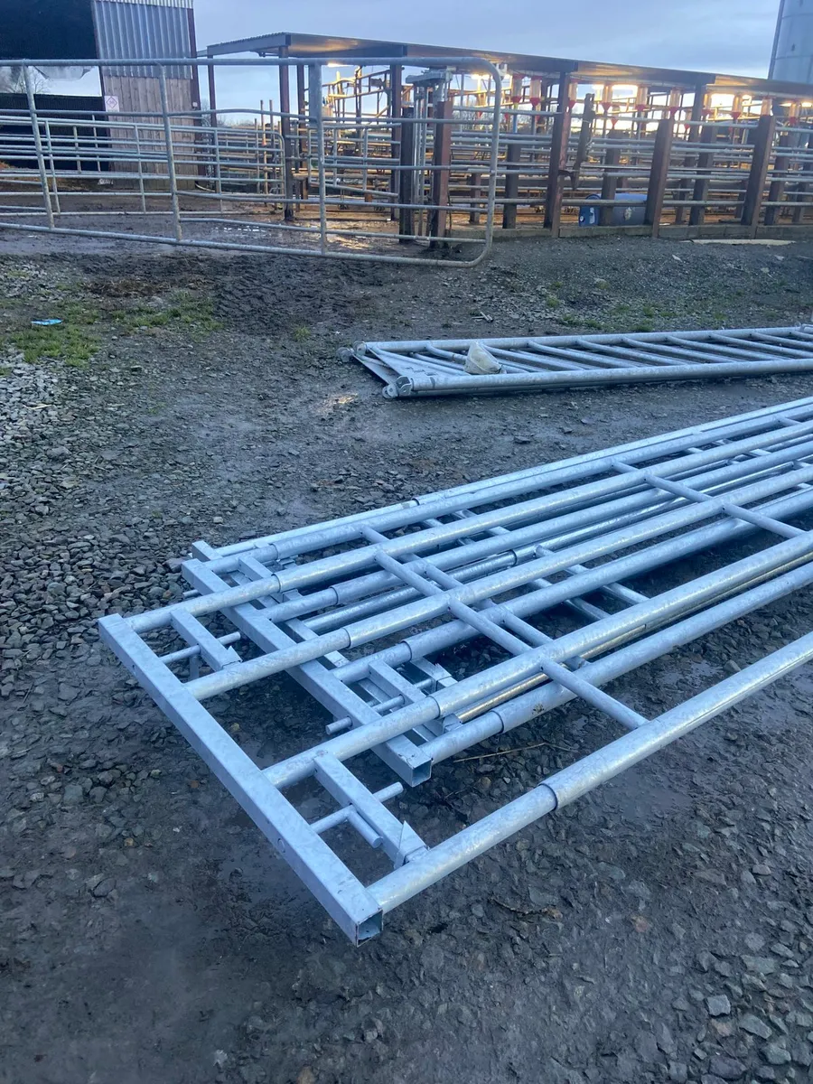 Heavy duty, extendable, gates and feeding barriers