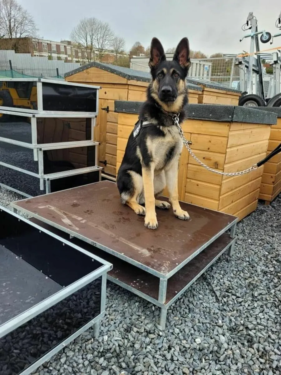 Galvanised dog beds jump up beds whelping boxes for sale in Co. Armagh