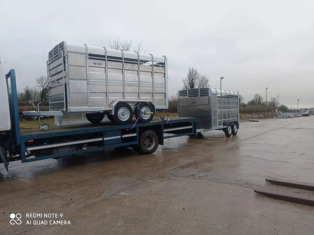 M Tec Livestock Trailers 12 X 6ft - Image 2