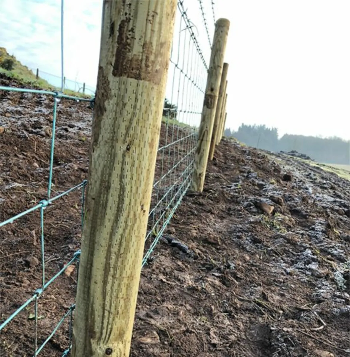 Concrete fence posts and strainers. + timber posts - Image 4