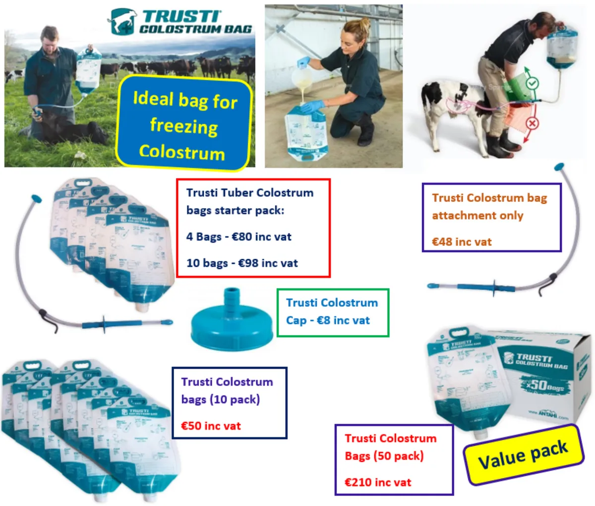 Calving Essentials 2024 at FDS - Image 3