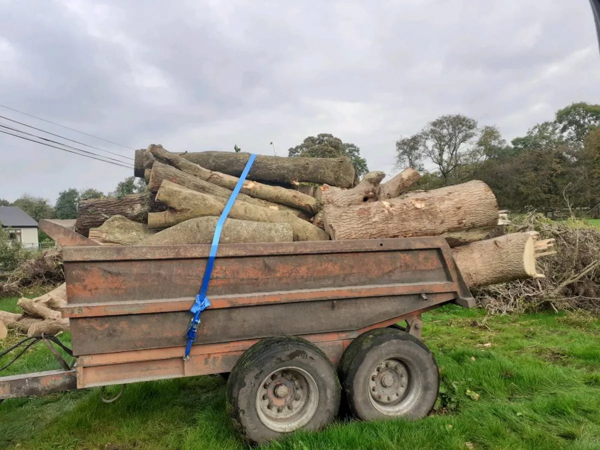 Firewood timber wood wanted wanted