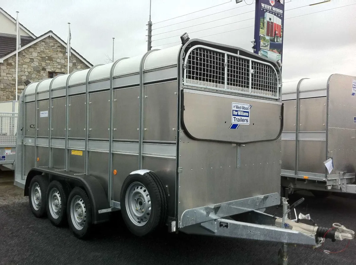 New 14' x 5'10'' Ifor Williams Cattle Trailer
