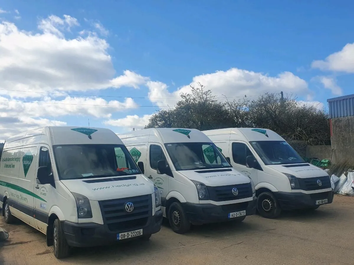 Bare root Trees and hedging - Image 1