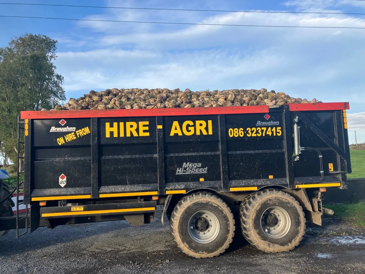 Skid Steer, Cherrypickers and Mini Diggers - Image 3