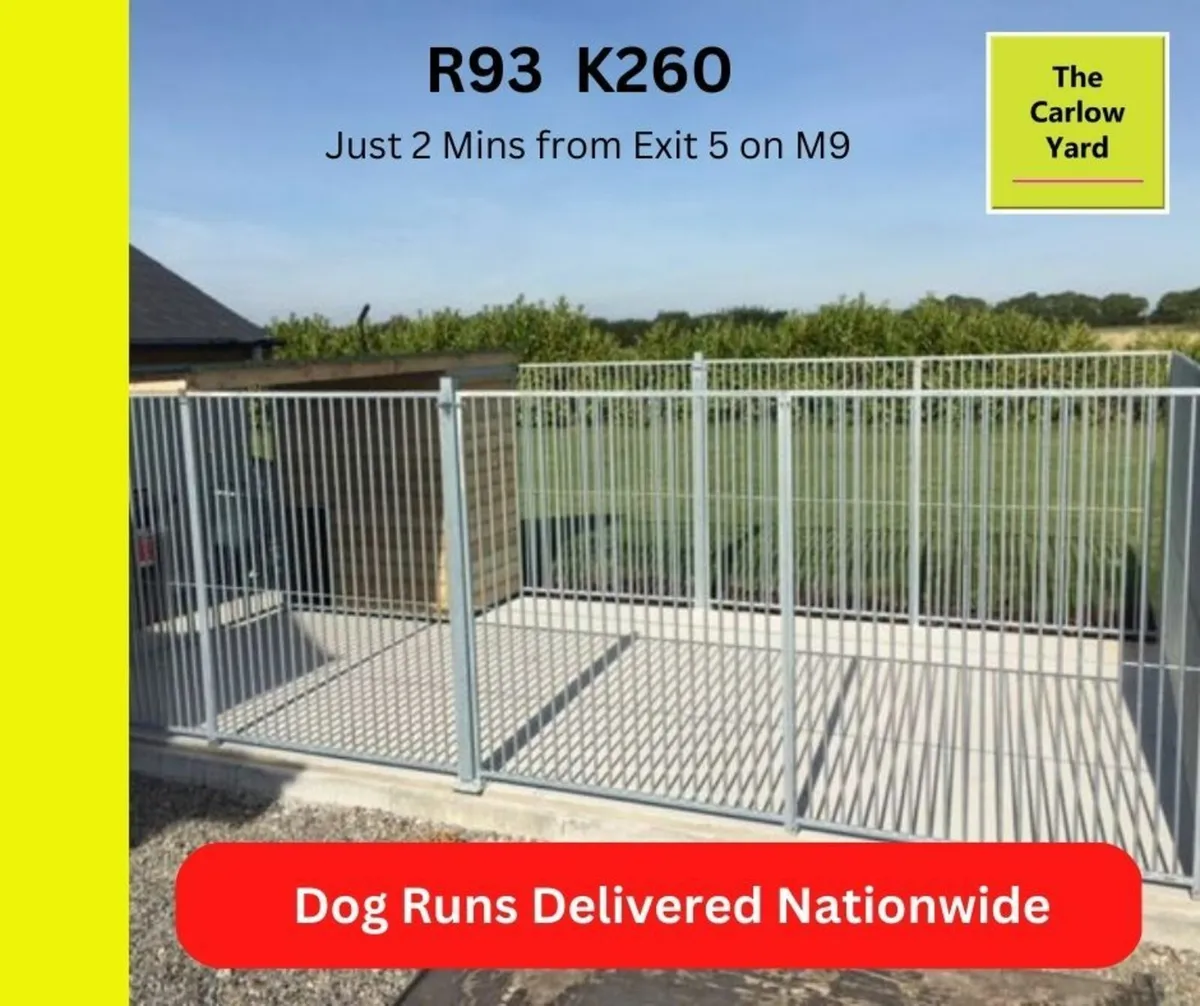 dog run - Image 1