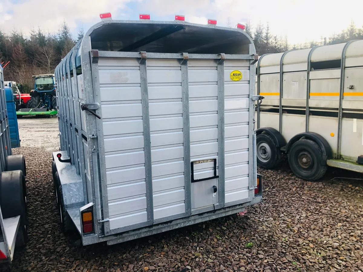 Tuffmac  Livestock Trailer 14x6 - Serviced - Image 3