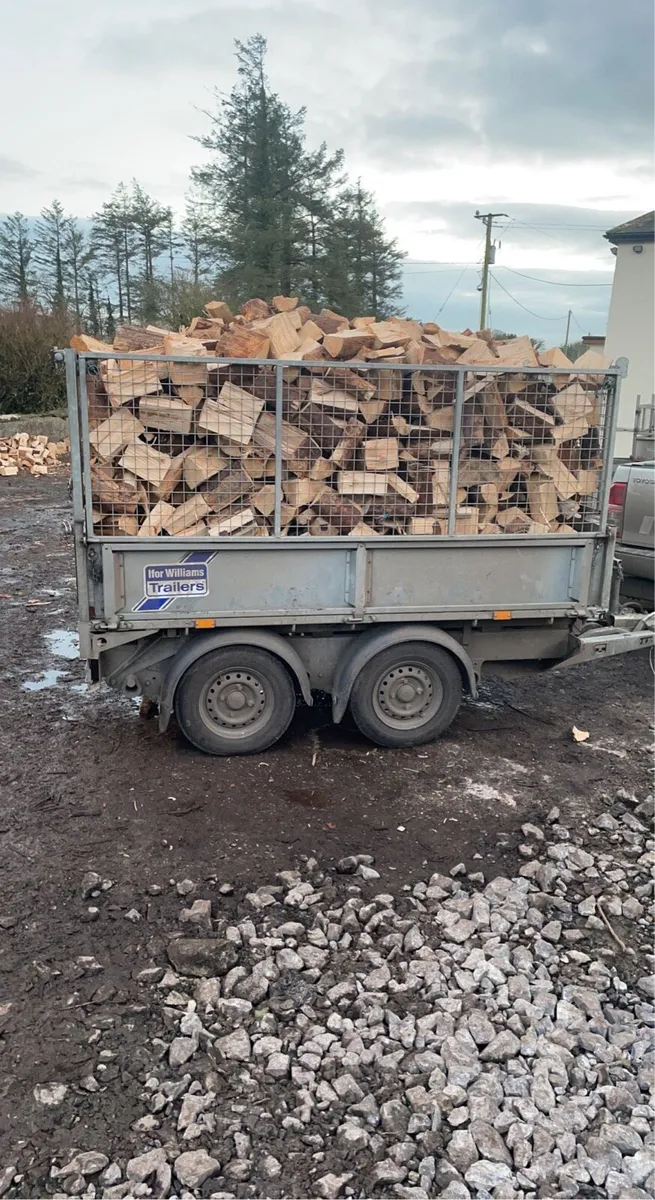 Firewood kiln dried 5 m3 €400 delivered. - Image 1