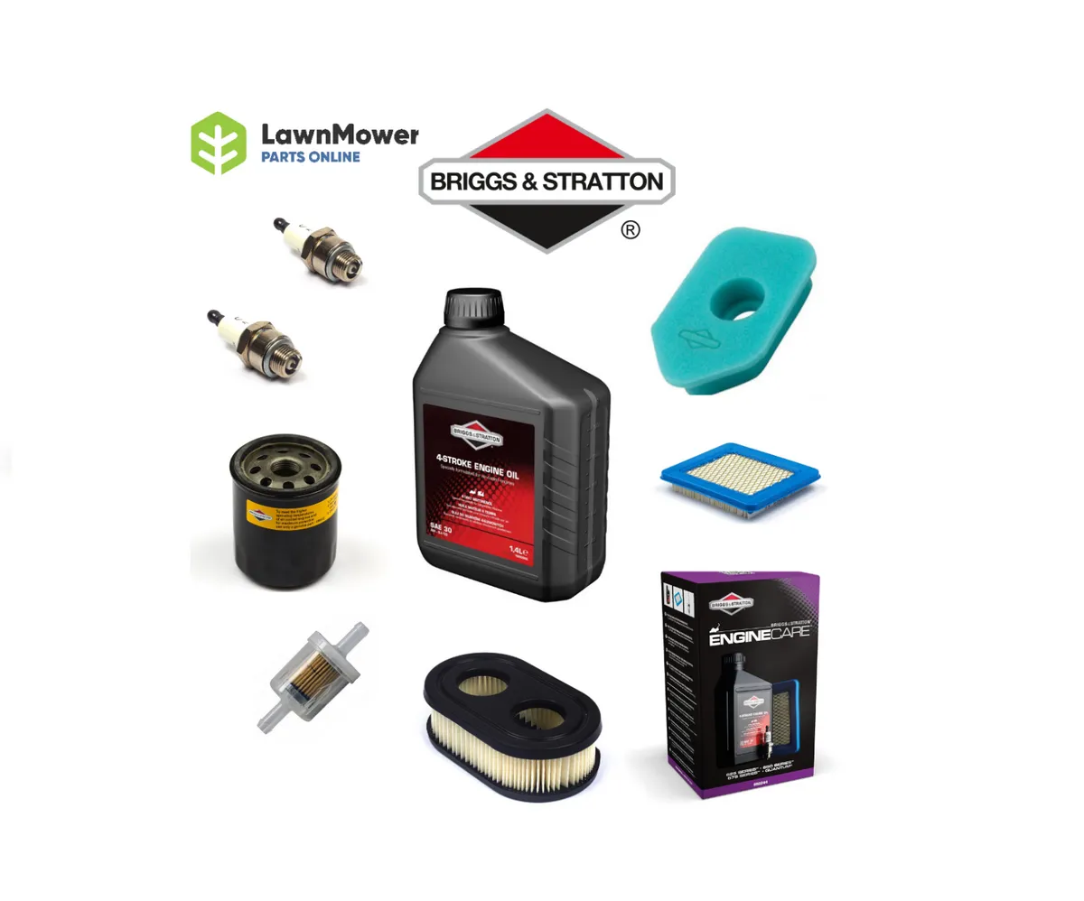 Briggs & Stratton Service Kits -FREE DELIVERY