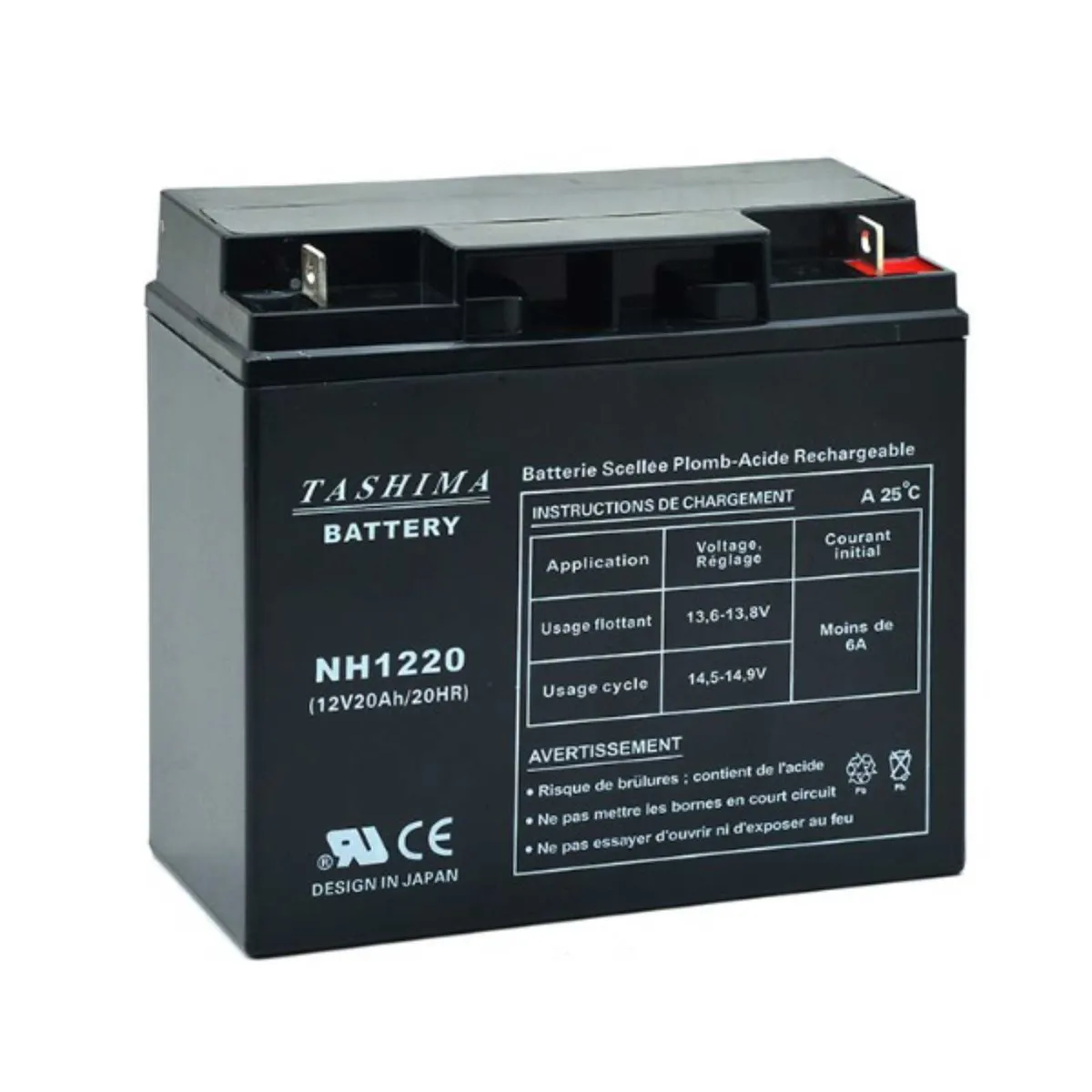 Ride on Mower Batteries - FREE Delivery - Image 4