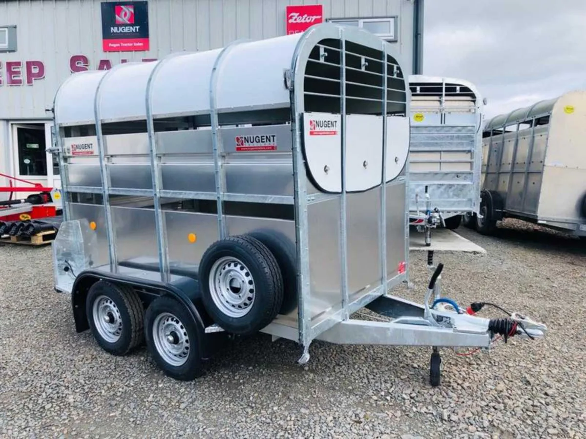 Nugent Cattle Trailer 8x5 - Finance Opts - Image 3