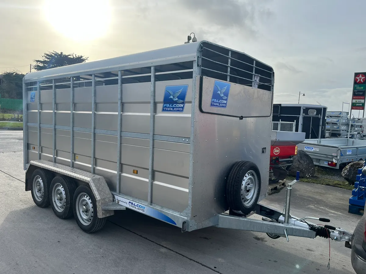 Falcon 14ft x 6ft livestock trailer - Image 2