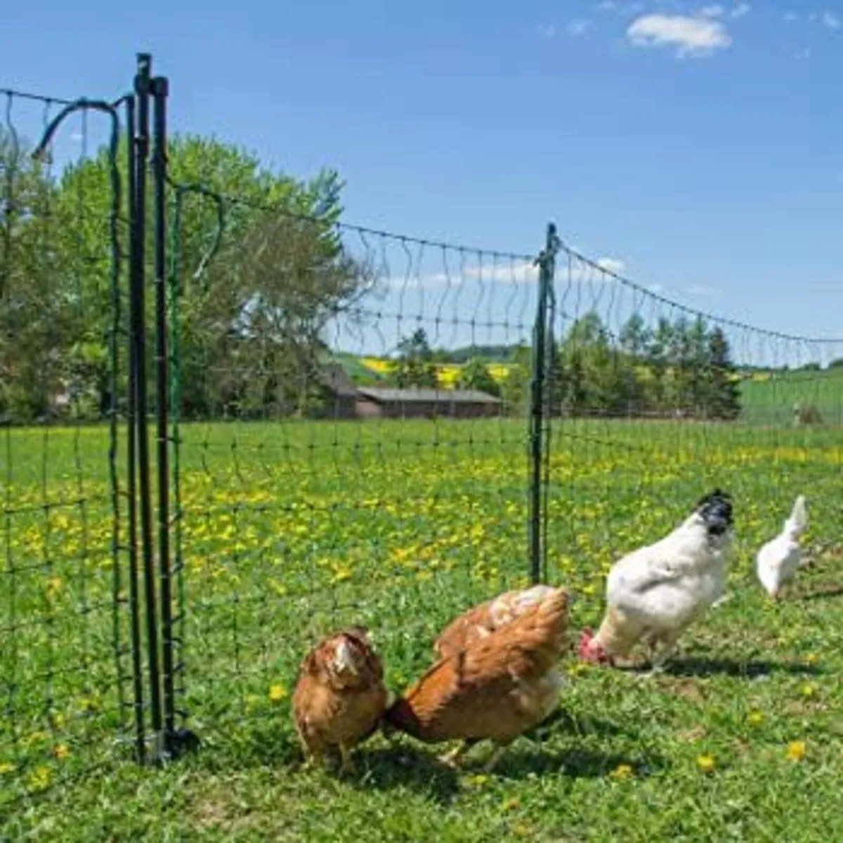Hotline Electric Poultry Fencing - Netting