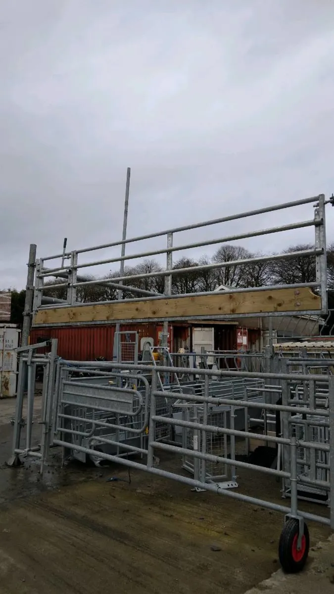 Sheep feeding Barriers