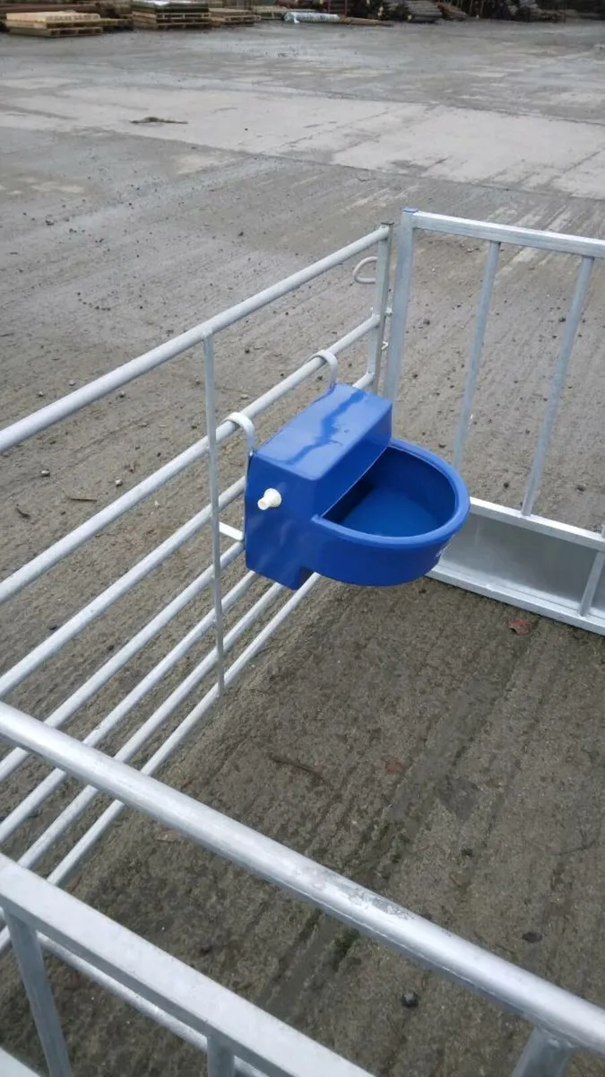 Calf Equipment - Image 3