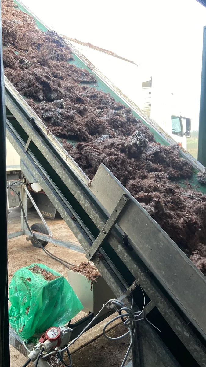 Mushroom compost