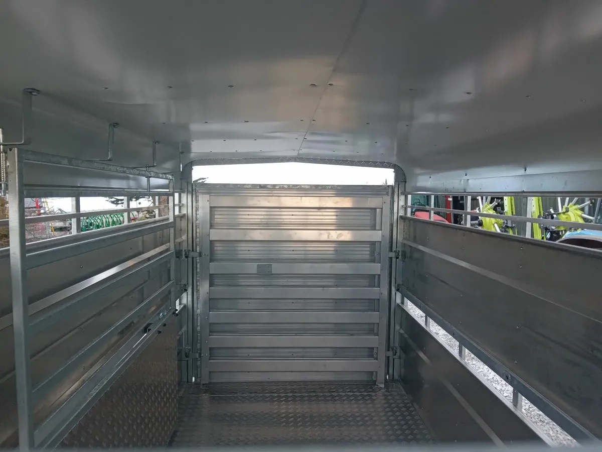 Livestock Trailer  ----    M-TEC   --- - Image 3