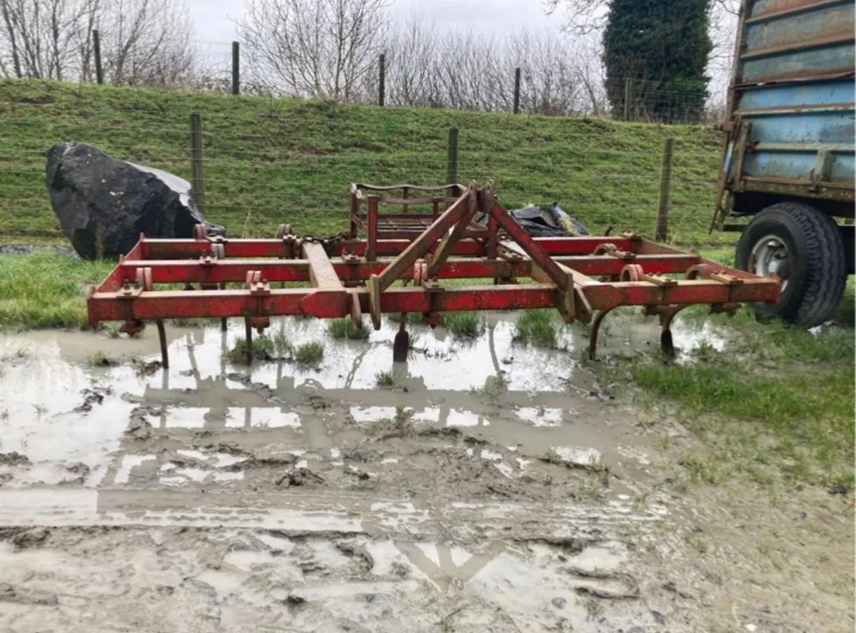 Heavy Duty Tine / Grubber Harrow - Image 4