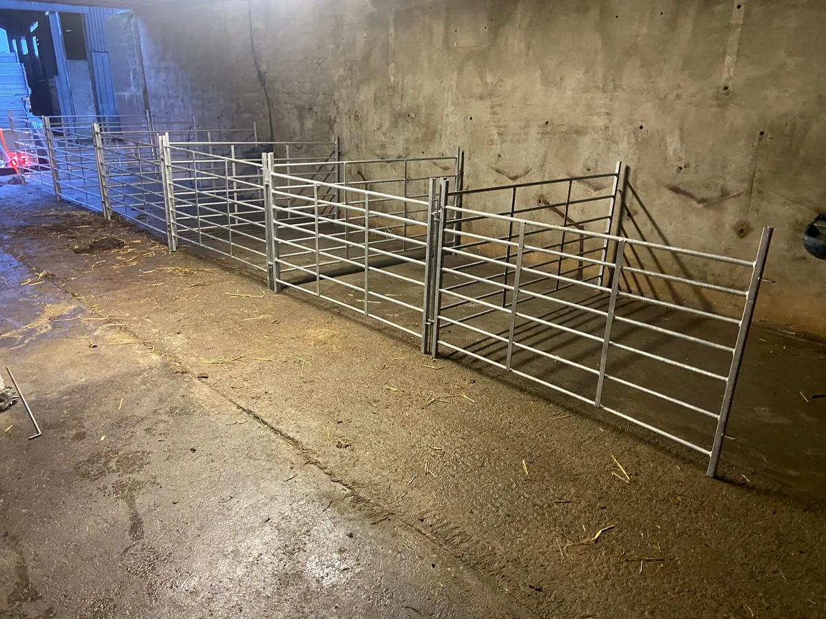 Sheep hurdles all sizes available - Image 1