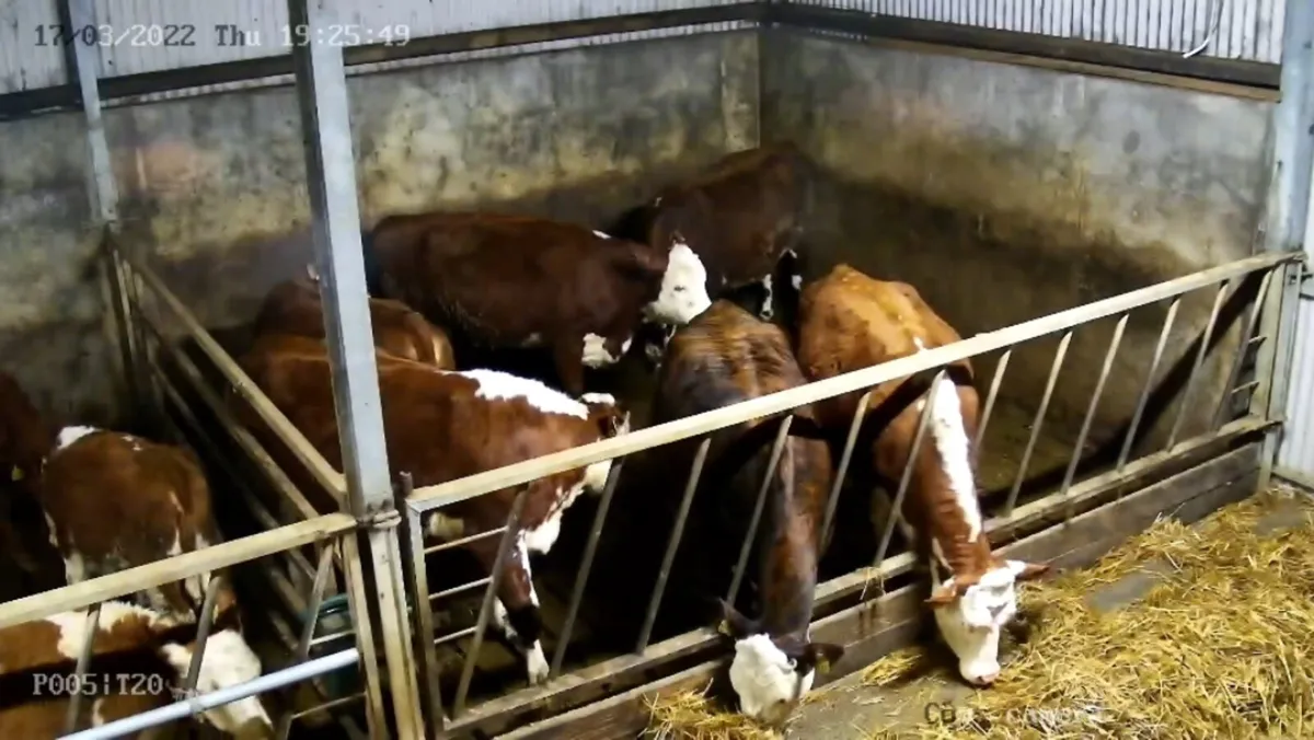 CCTV INSTALLATION - Image 4