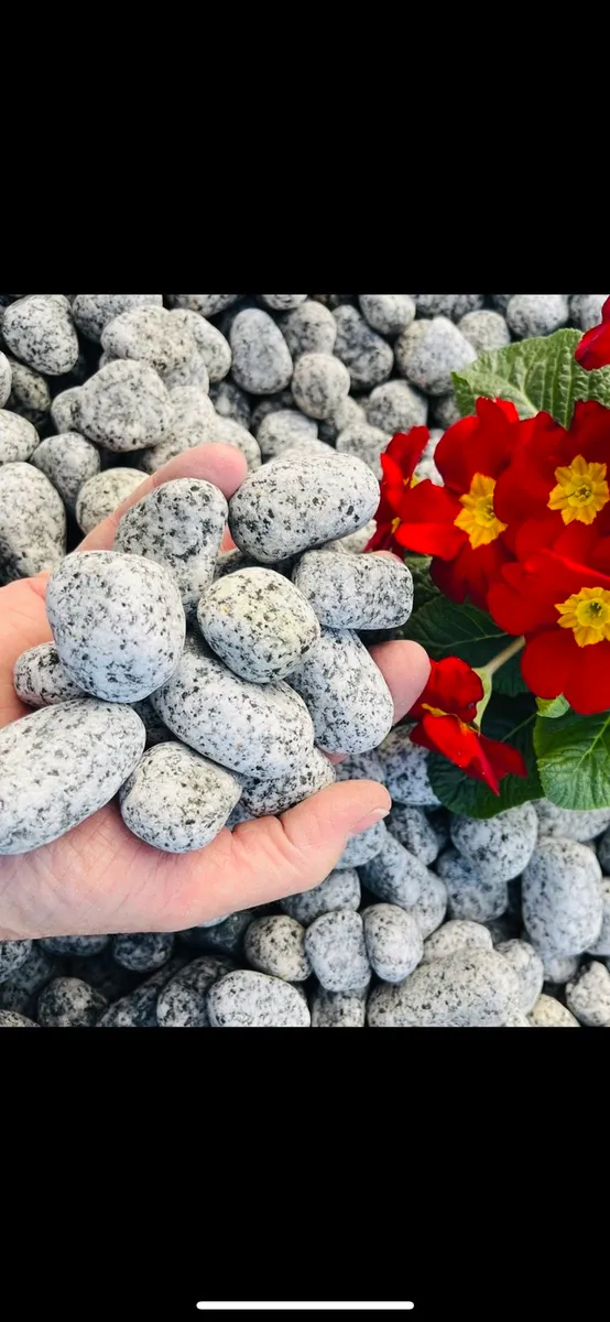 Plum slate stone cobbles pebbles rocks boulders - Image 2