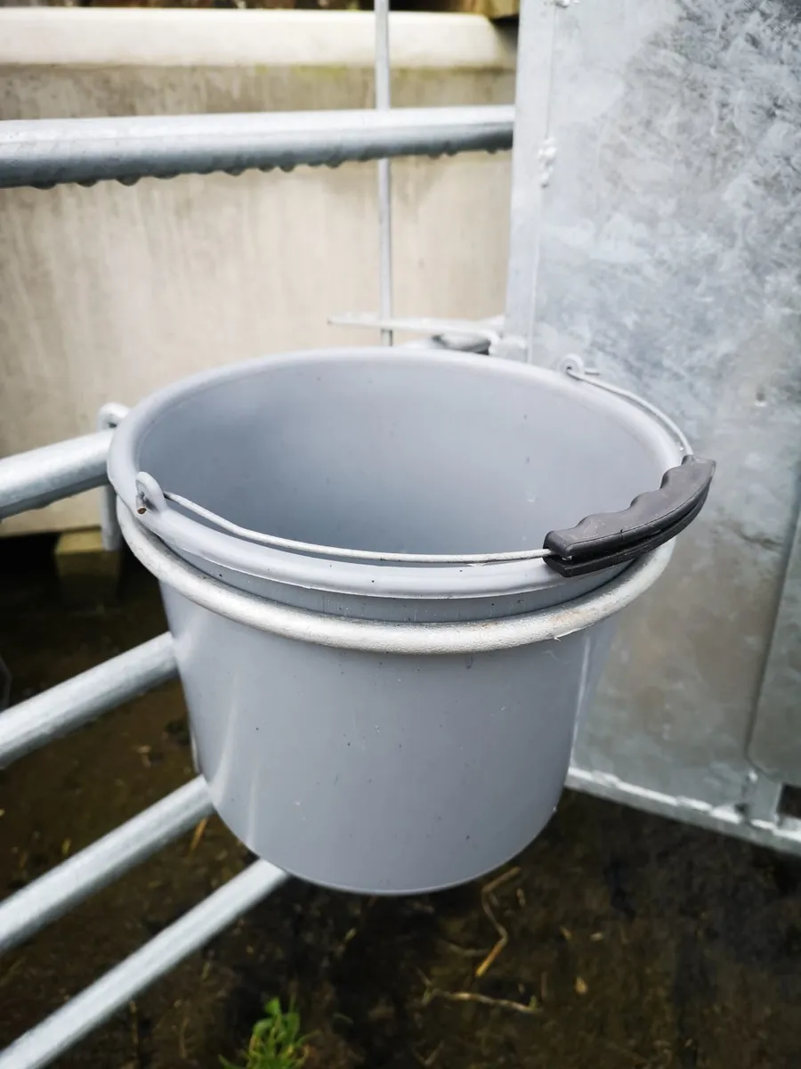 Calf Clear /Crypto clear bolus, Crypto Scour - Image 3