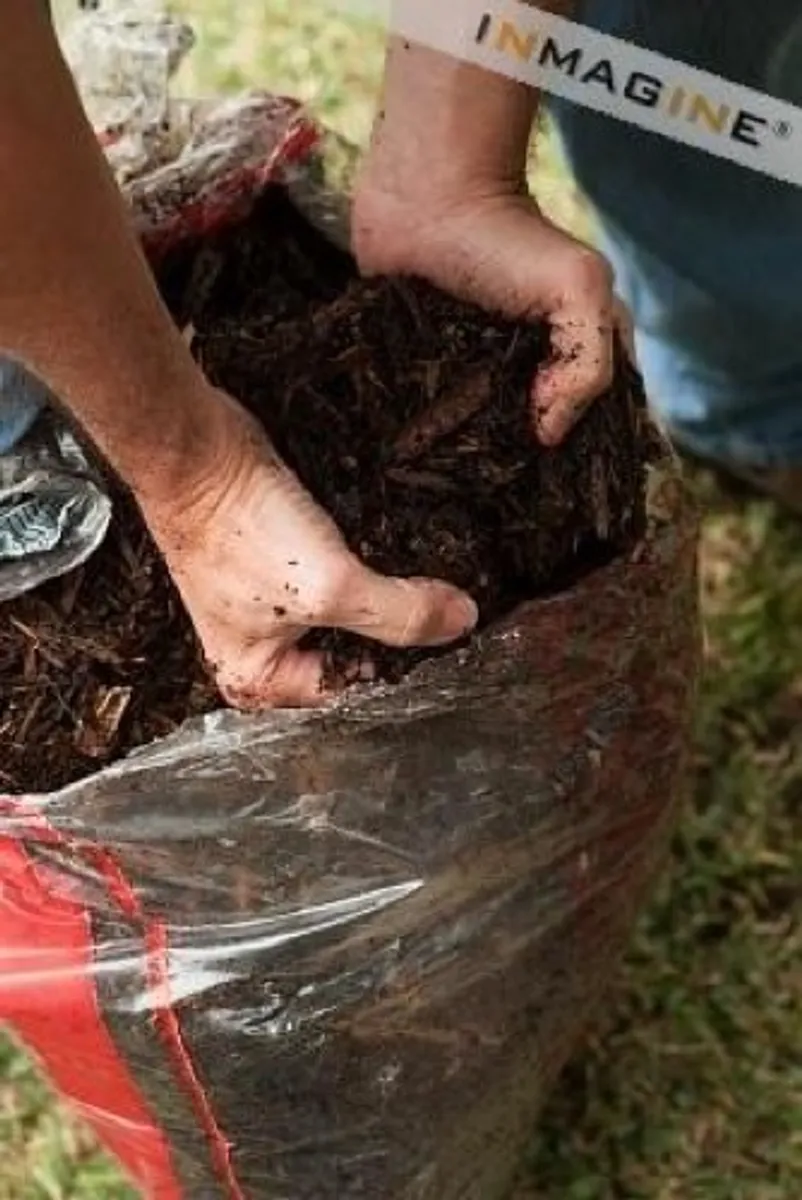 Barkmulch / Bark Mulch - Image 4