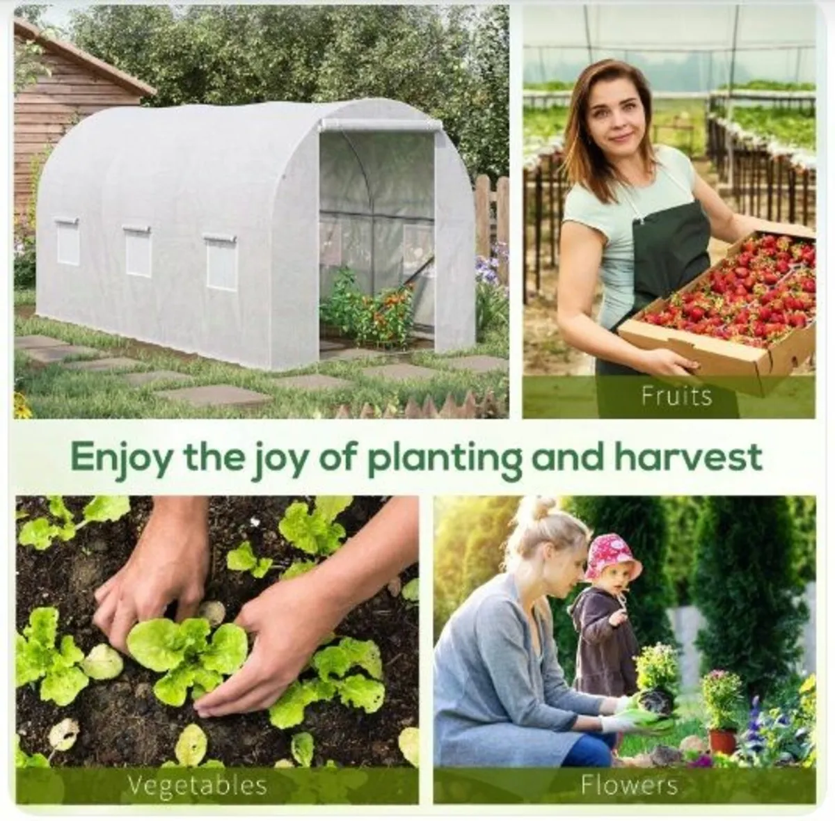 POLYTUNNEL - Image 2