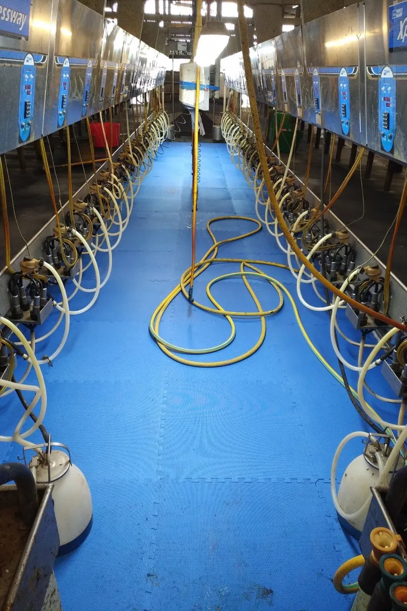 Milking parlour mats - Image 2