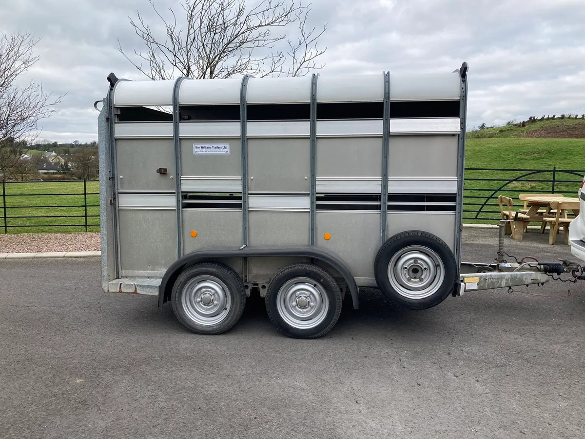 Ivor Williams Cattle Trailer - Image 2