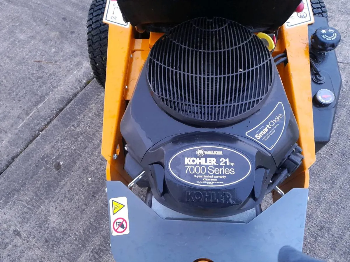 Walker Mower - Image 4