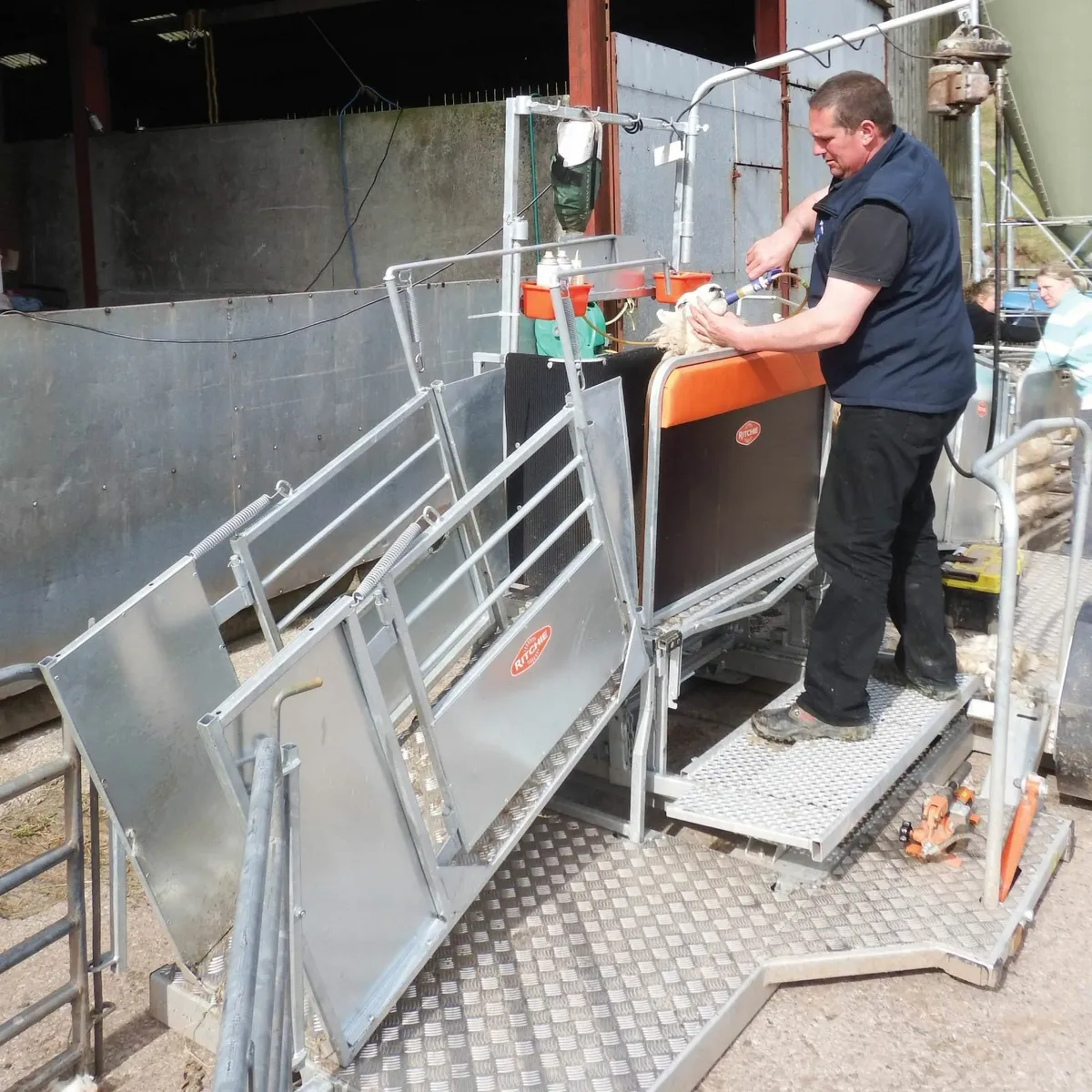 Ritchie Combi Clamp Sheep Handling Unit - Image 2