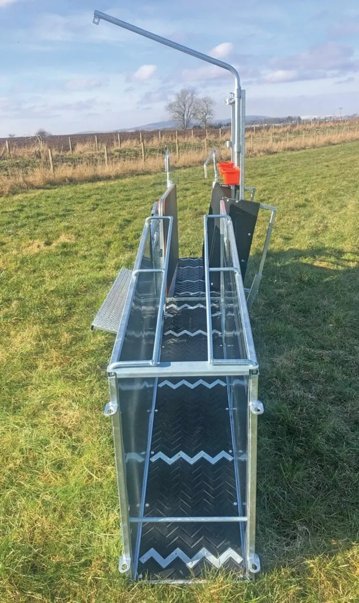 Ritchie Combi Clamp Sheep Handling Unit - Image 3