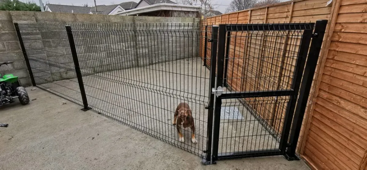 Security fencing. 5mm. Dog Run. Gates. - Image 3