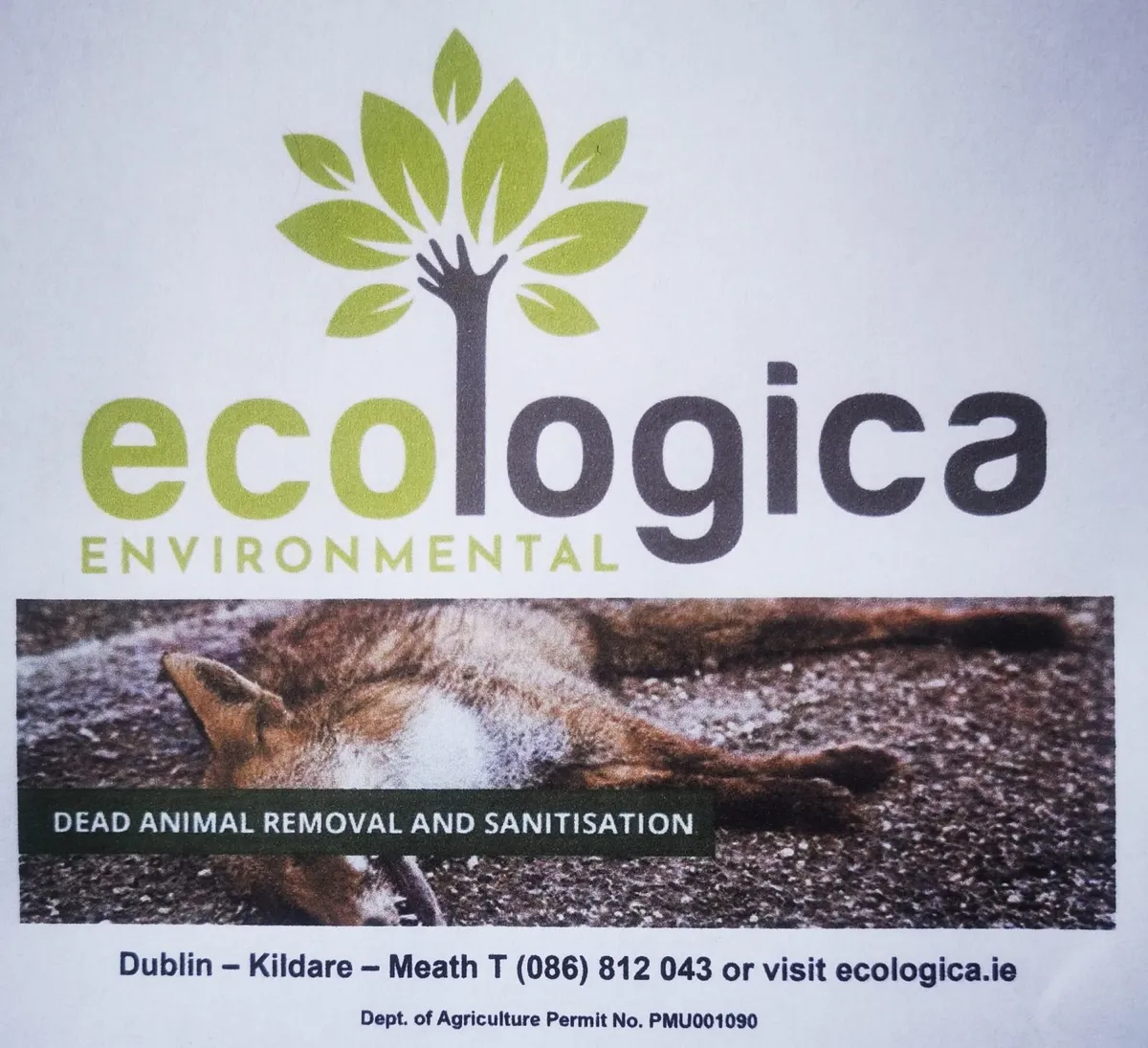 Dead Wildlife (Eg Fox) Carcass Removal | Ecologica - Image 1