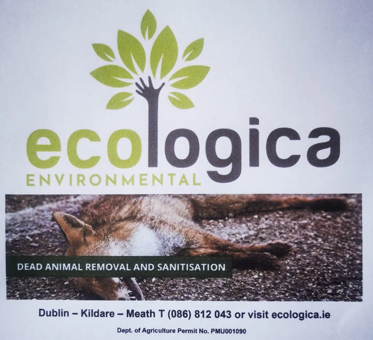 Dead Wildlife (Eg Fox) Carcass Removal | Ecologica