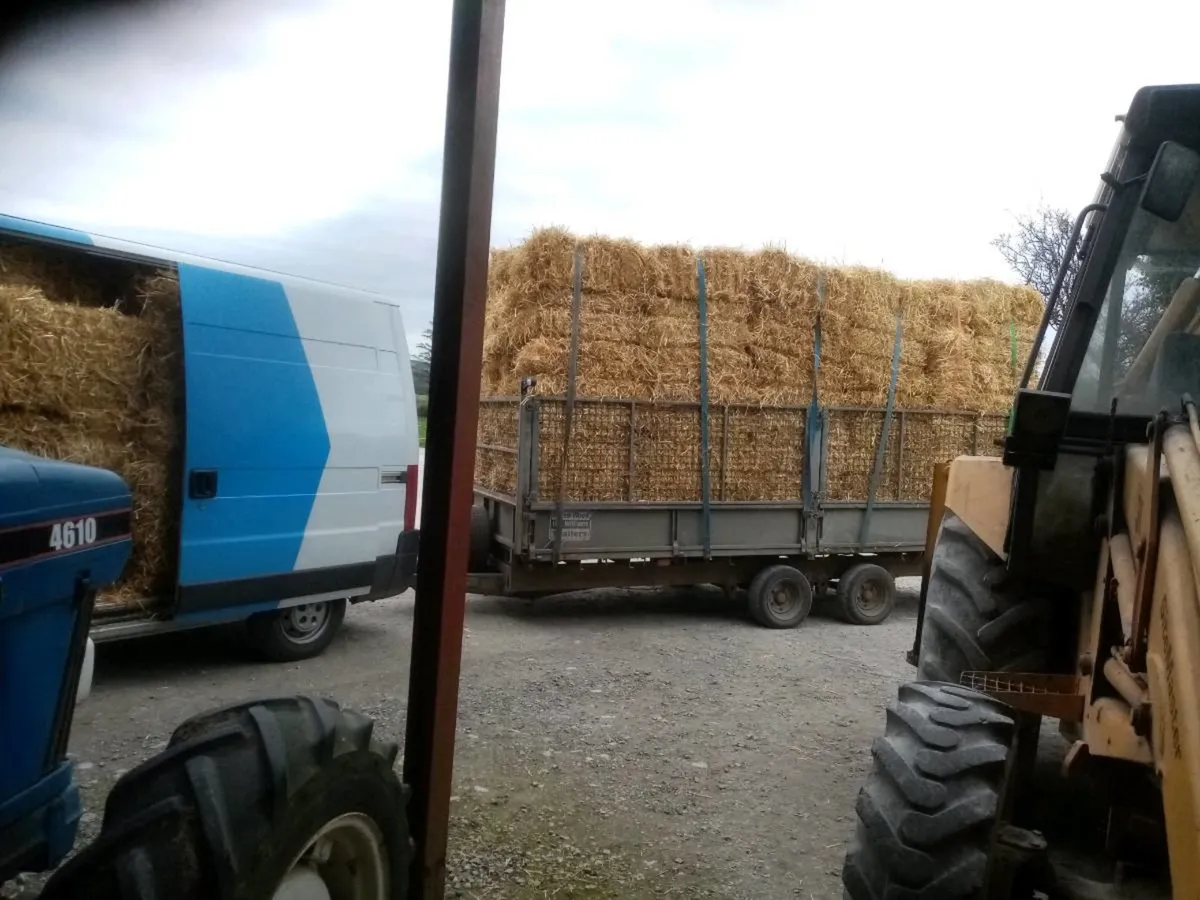 straw & hay x yard or delivered - Image 3