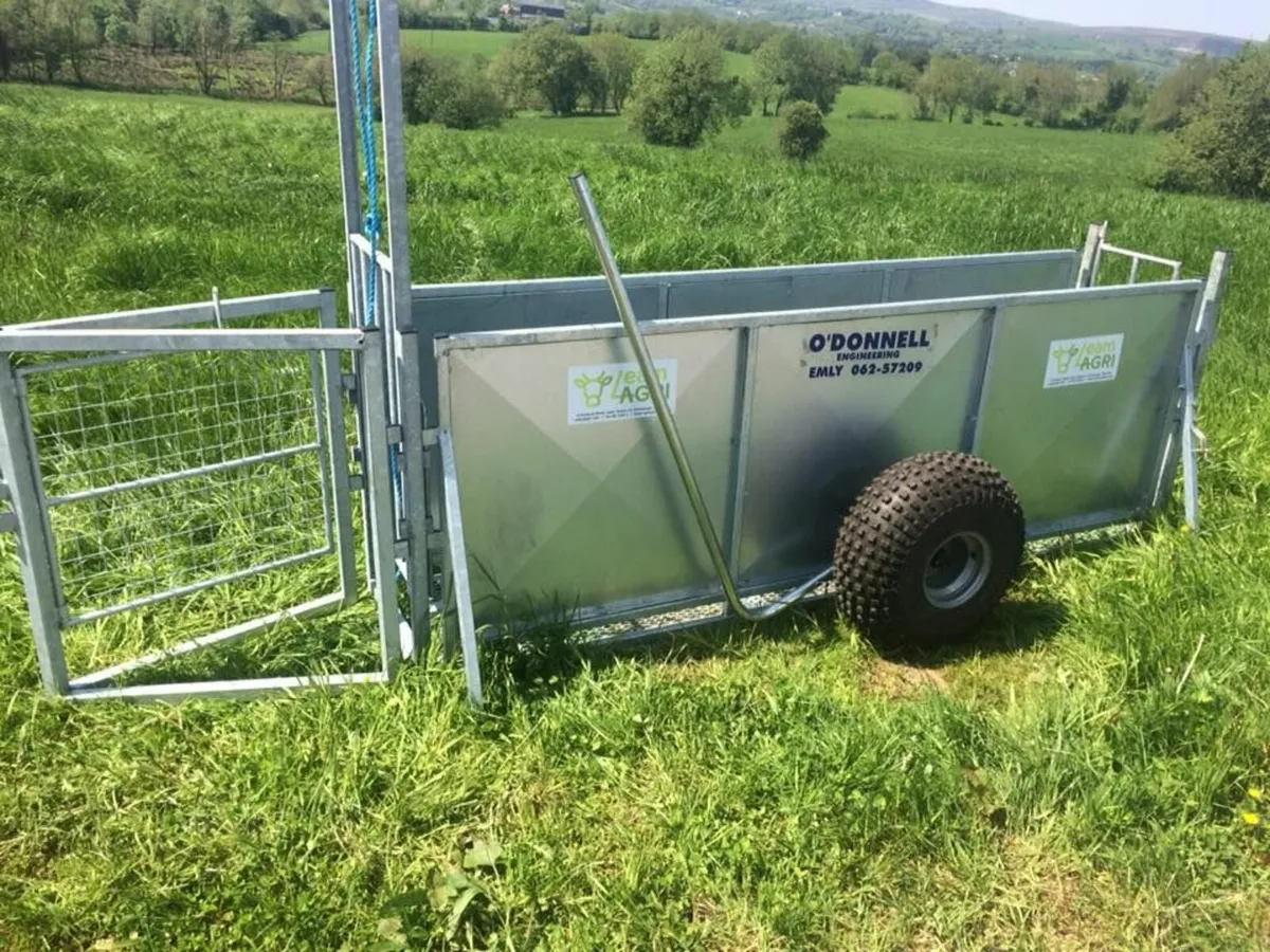 Mobile sheep handling. Sheep race - Image 2