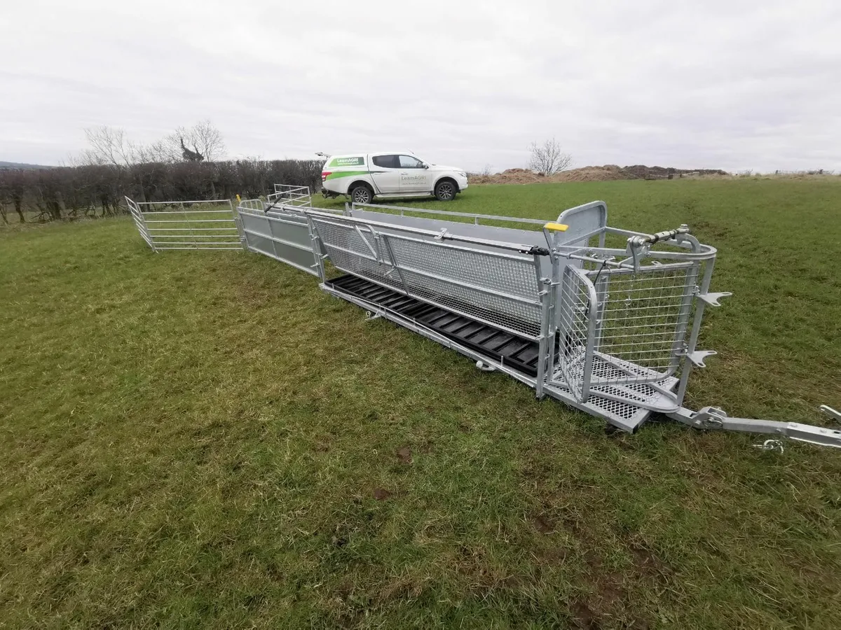 Mobile sheep handling. Sheep race - Image 4