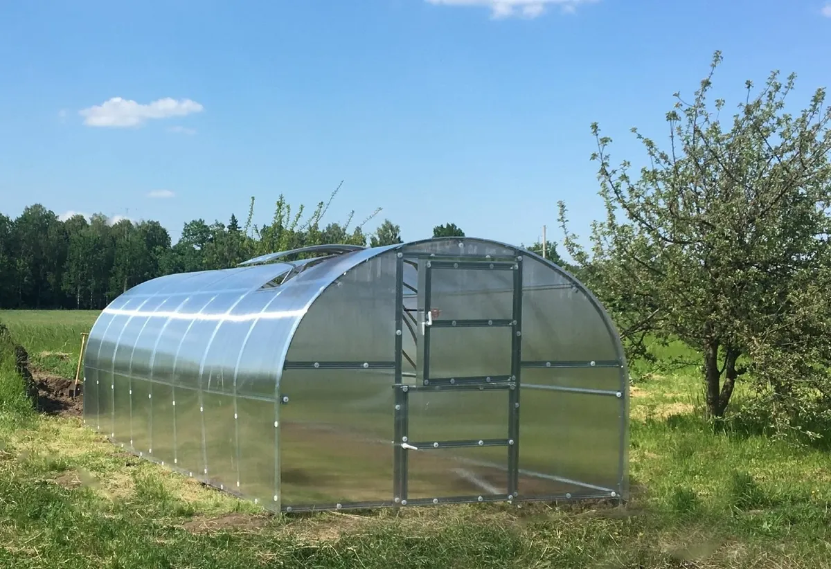 Polytunnel Greenhouse w/strong sheets ARC 1 - Image 3