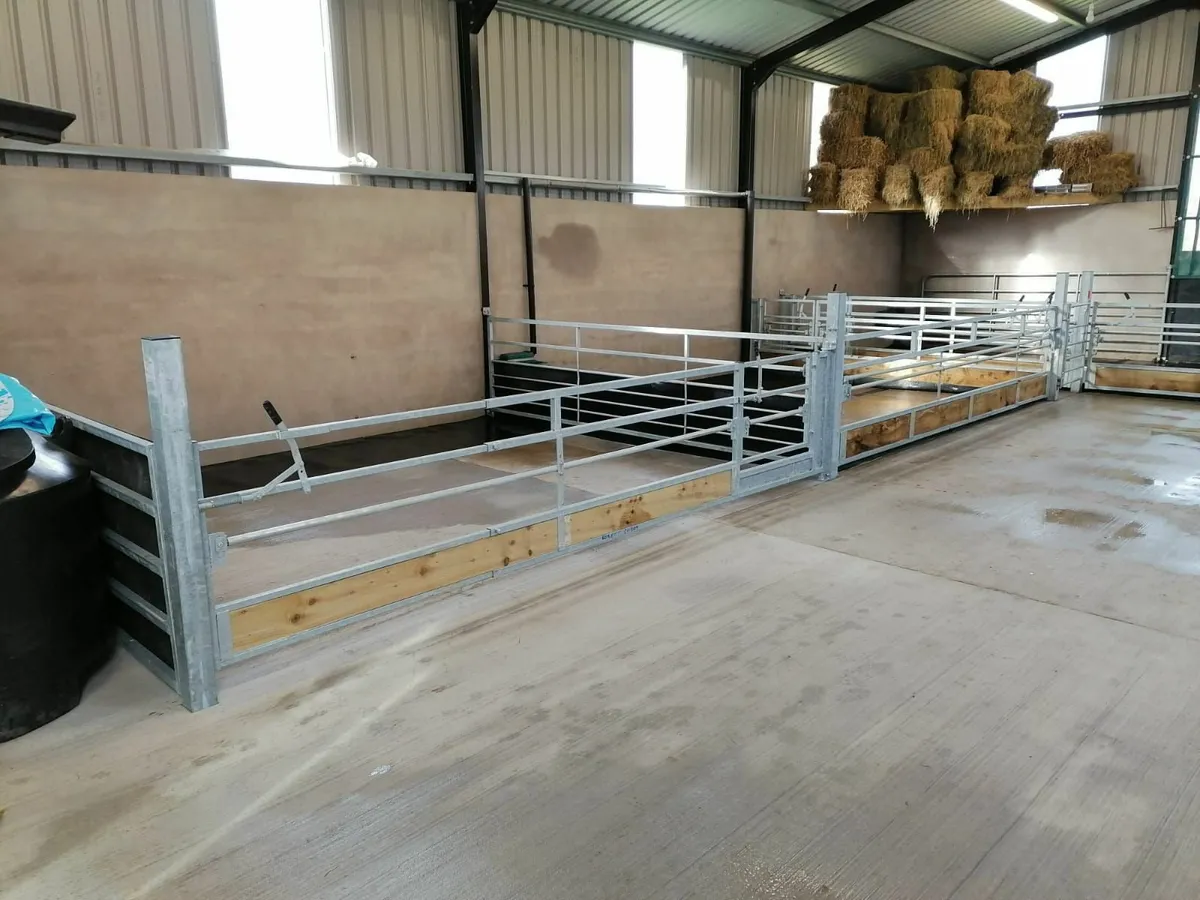 Sheep feeding gates and panels. Leam AGRI