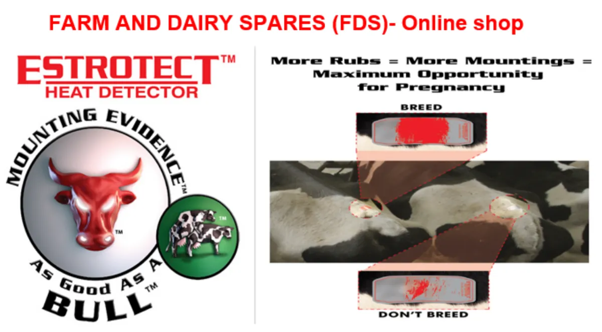 Estrotect Heat Detection Patches for sale at FDS