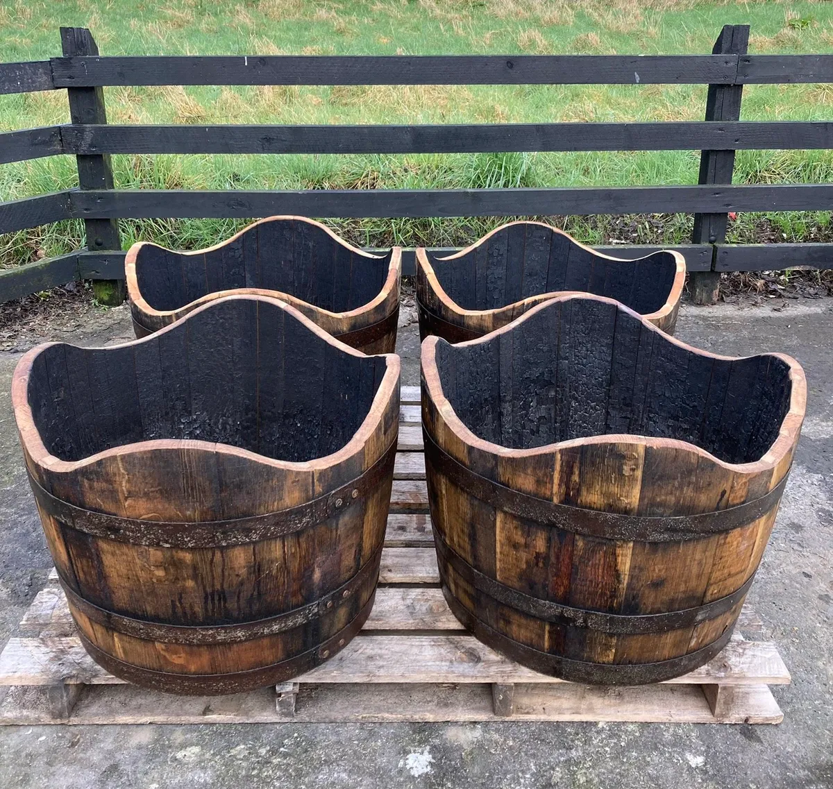 Reclaimed solid oak whiskey barrels / casks. - Image 4
