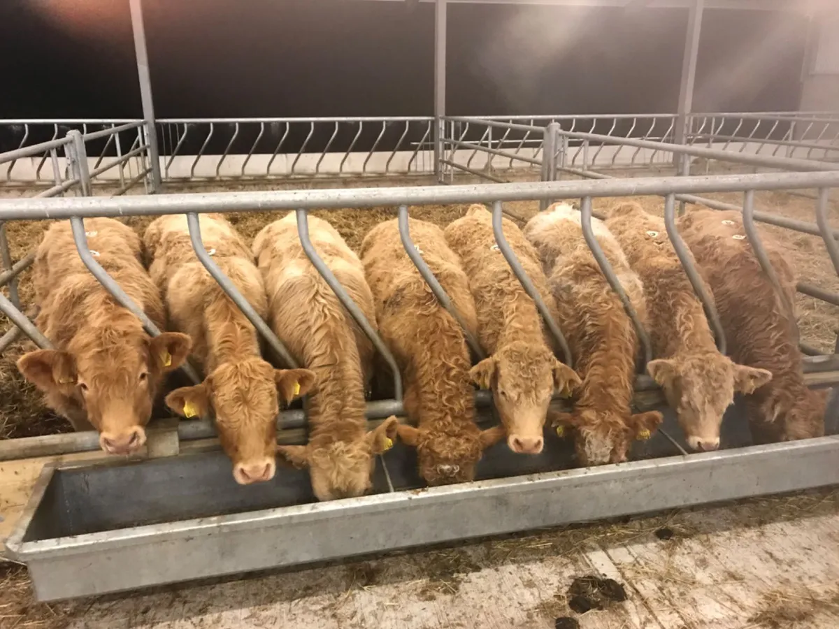 Loads of Milk - Image 2
