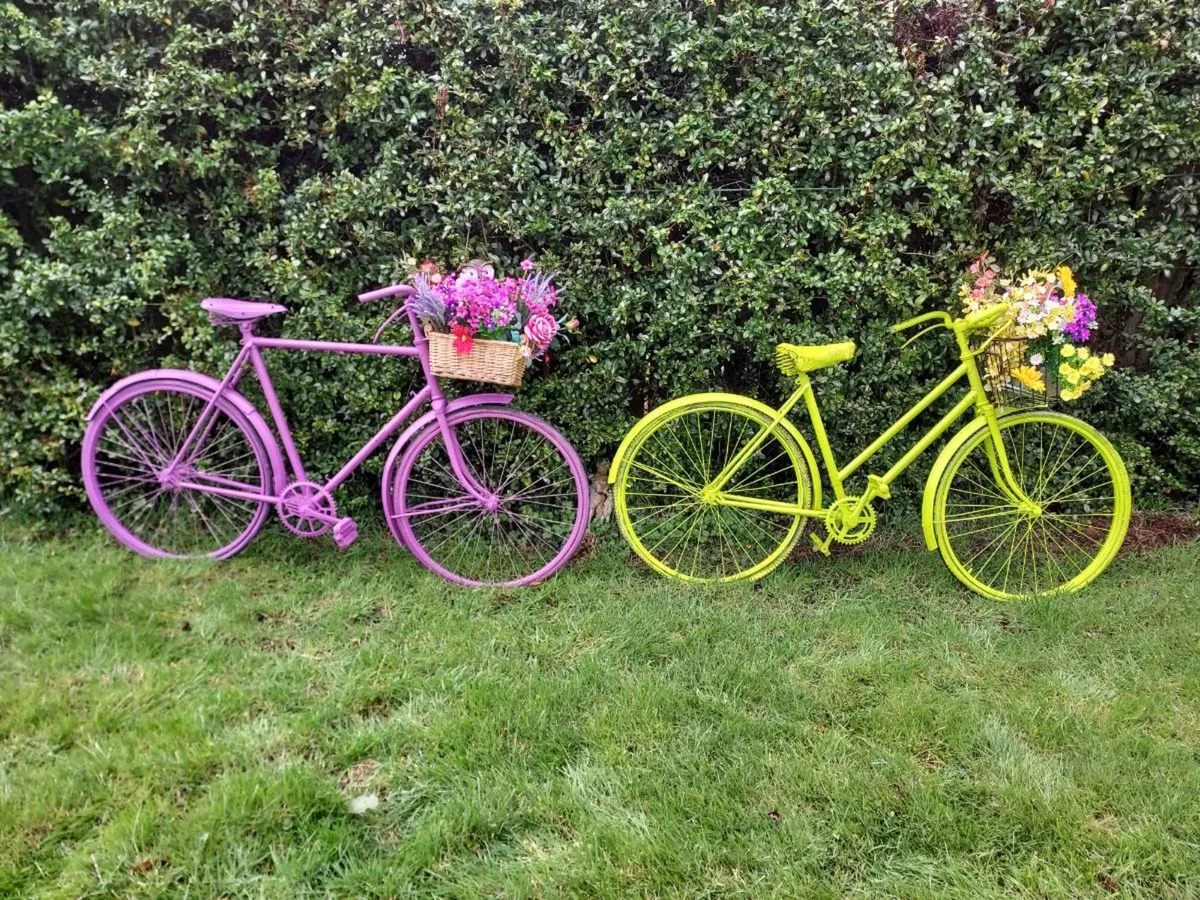 Garden bike - Image 1